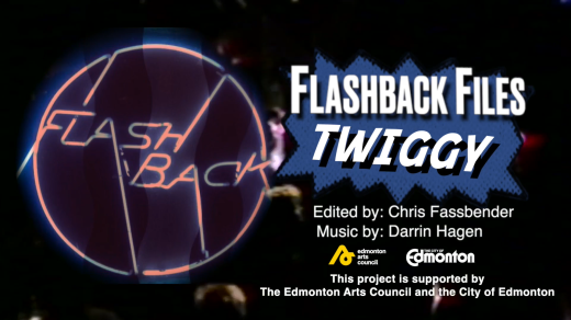 Flashback Files Twiggy