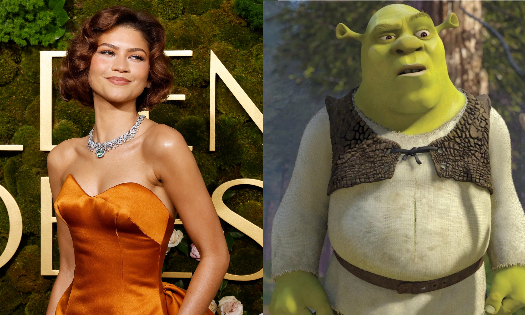 Split photo of Zendaya and Shrek.